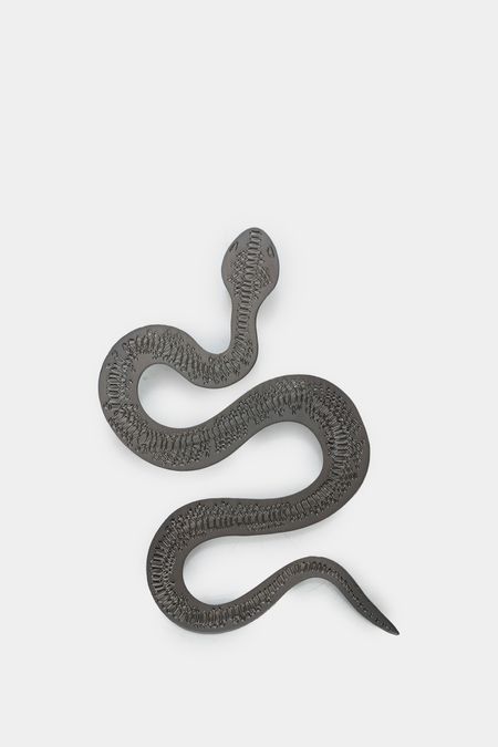 Aretas-serpientes